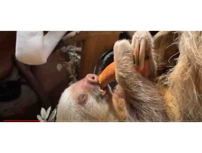 Riverbanks Zoo and Gardens - SC