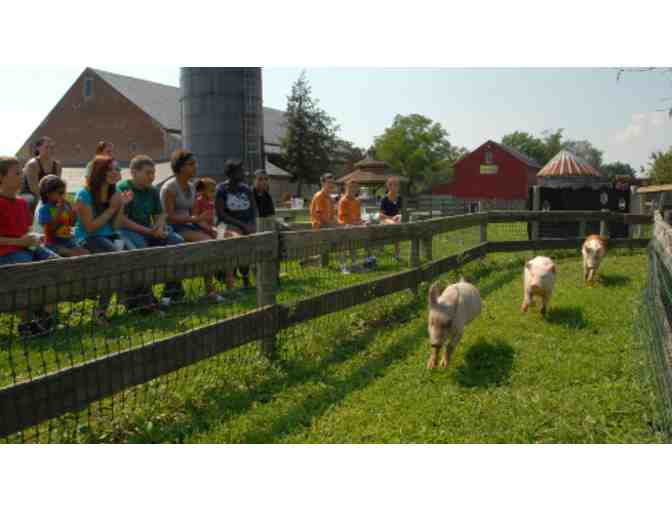 Fun on the Farm at Barnyard Kingdom - PA