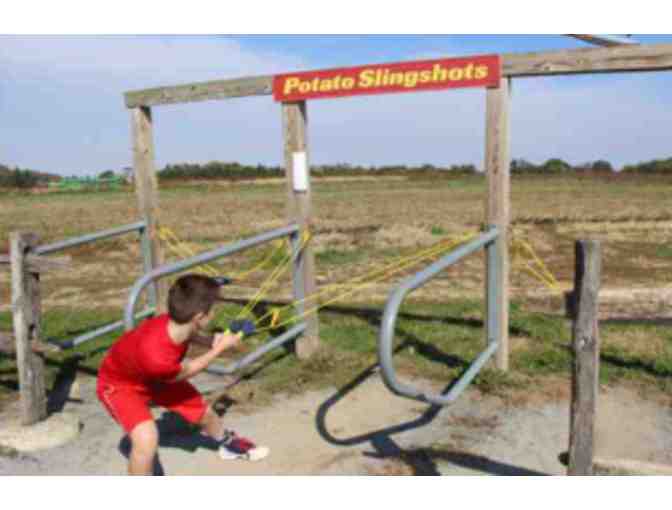 Fun on the Farm at Barnyard Kingdom - PA