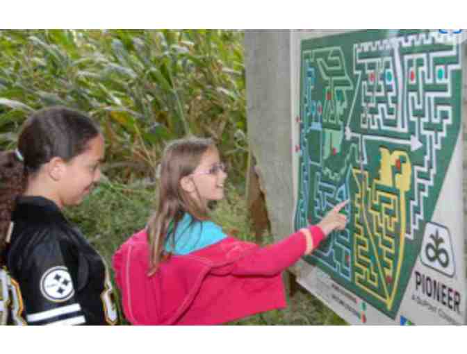 Fun on the Farm at Barnyard Kingdom - PA