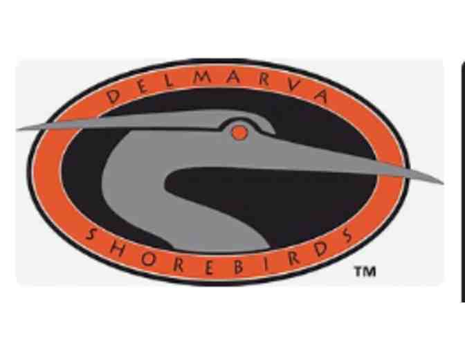 Batter UP!! Delmarva Shorebirds