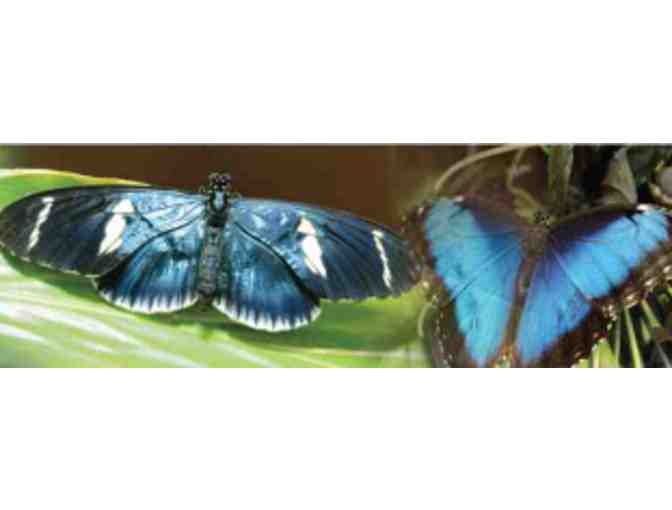 Hershey Gardens - Hershey PA