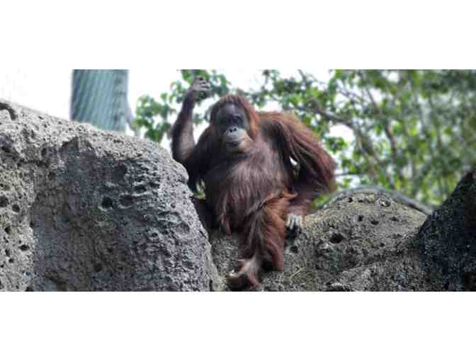 The Zoo Louisville - KY