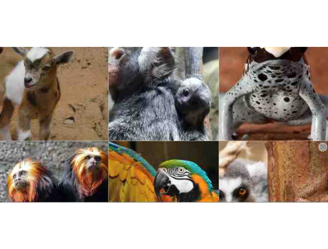 Rainforest Adventures Zoo - Sevierville, TN