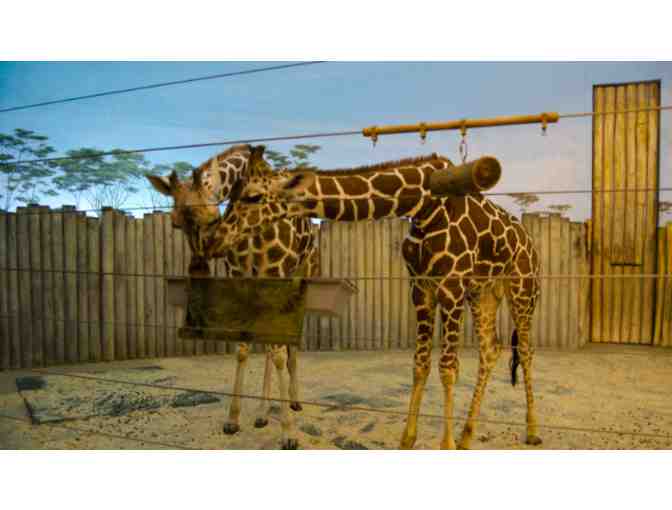 Chicago Zoological Society-Brookfield Zoo - IL