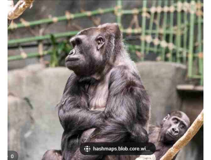 Chicago Zoological Society-Brookfield Zoo - IL