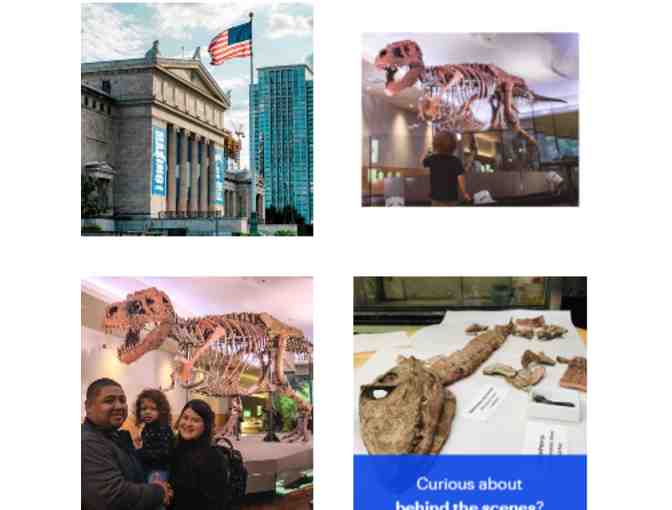 Field Museum - Chicago IL