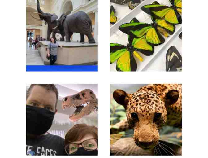 Field Museum - Chicago IL