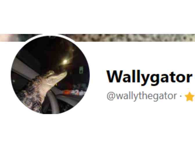 Wally the Alligator Experience