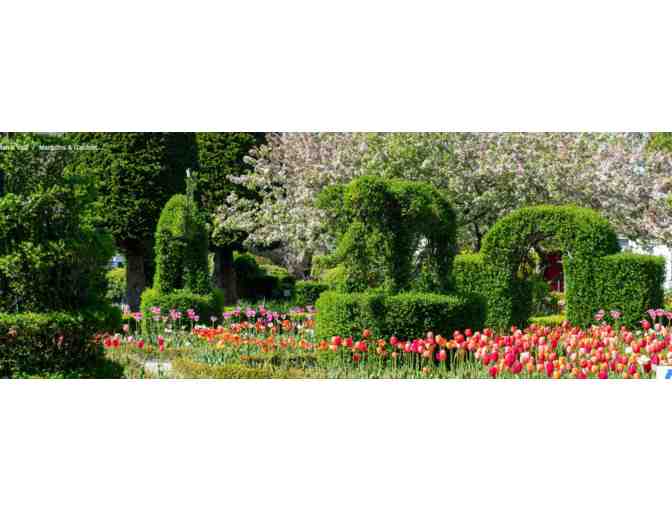 Newport Mansions - RI