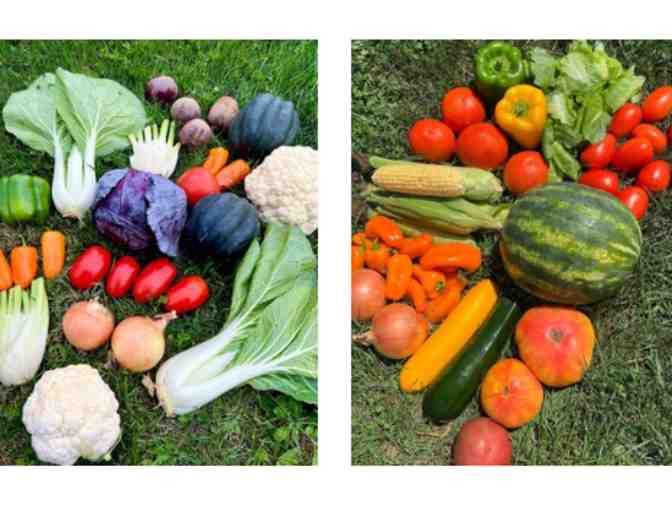 Spiral Path Farm Sample Marketshare