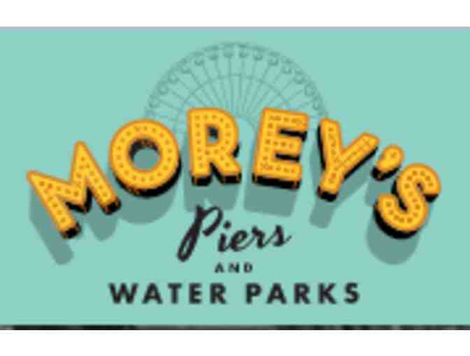 Morey's Piers, Wildwood NJ (supports Saving Grace Sanctuary)