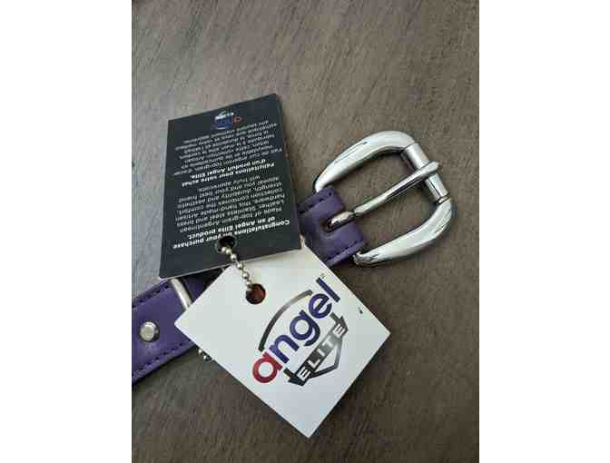 20' Leather Dog Collar - Angel Elite