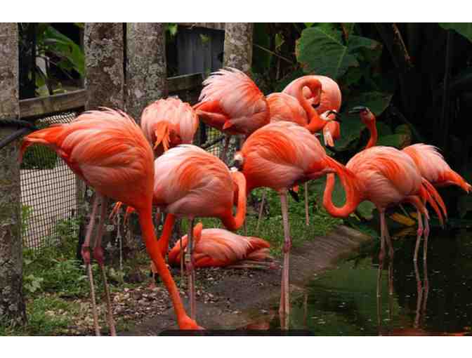 Flamingo Gardens - Davie FL
