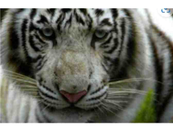 Catoctin Wildlife Preserve - Thurmont MD (supports Saving Grace Sanctuary)