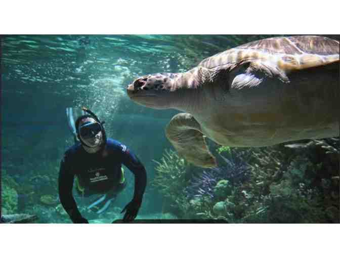 Baltimore Aquarium - Baltimore MD (supports Saving Grace Sanctuary)