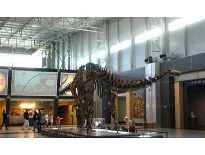 Tellus Museum - GA (supports Saving Grace Sanctuary)