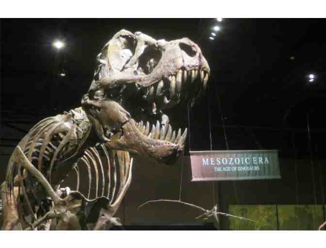 Tellus Museum - GA (supports Saving Grace Sanctuary)