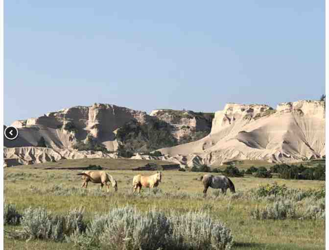 TP Stay at Working Cattle Ranch for 4 Guests - Crawford NE