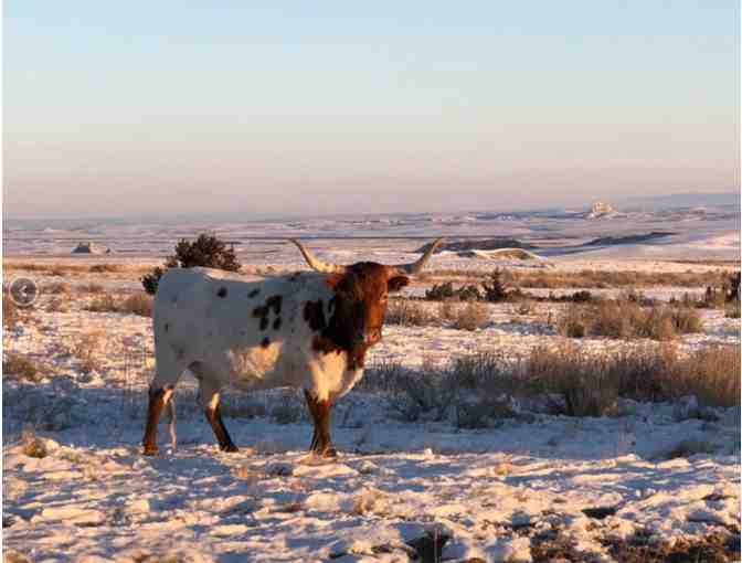 TP Stay at Working Cattle Ranch for 4 Guests - Crawford NE