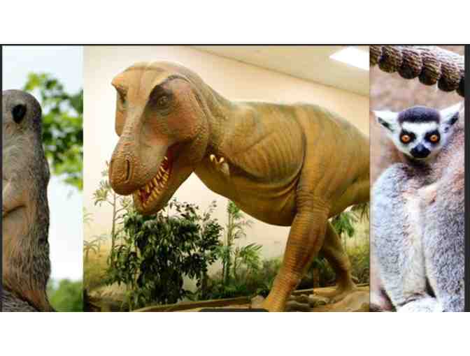 Greensboro Science Center - NC (supports Saving Grace Sanctuary)