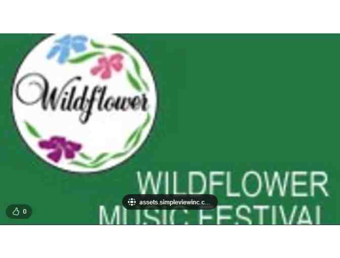 Wildflower Music Festival - White Mills PA