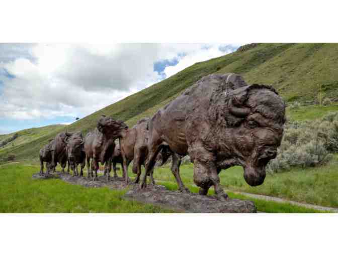 Wildflower Music Festival - White Mills PA