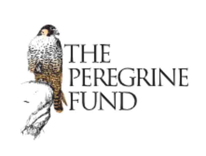 World Center for Birds of Prey - Boise iD