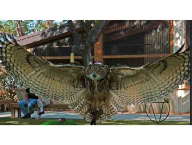 World Center for Birds of Prey - Boise ID