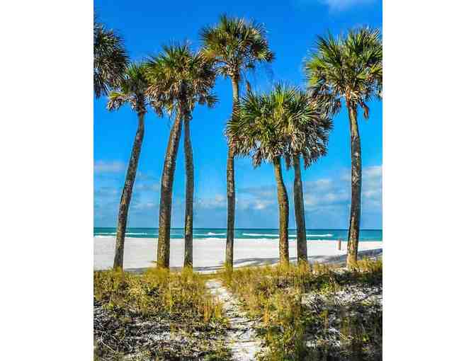 Tortuga Inn on Anna Maria Island Fl (supports Saving Grace Sanctuary)