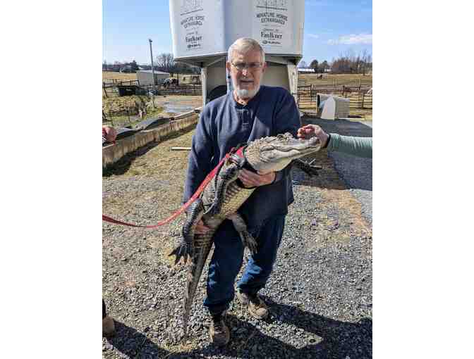 Wally the Alligator Experience
