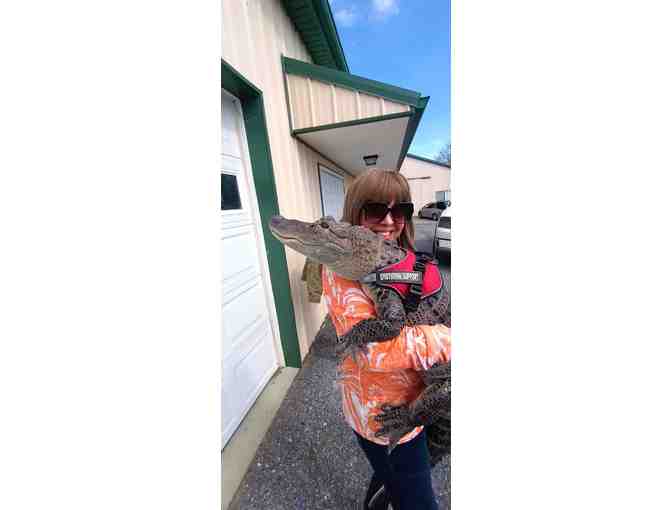 Wally the Alligator Experience