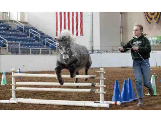 Photo Session with Missy Doughtery