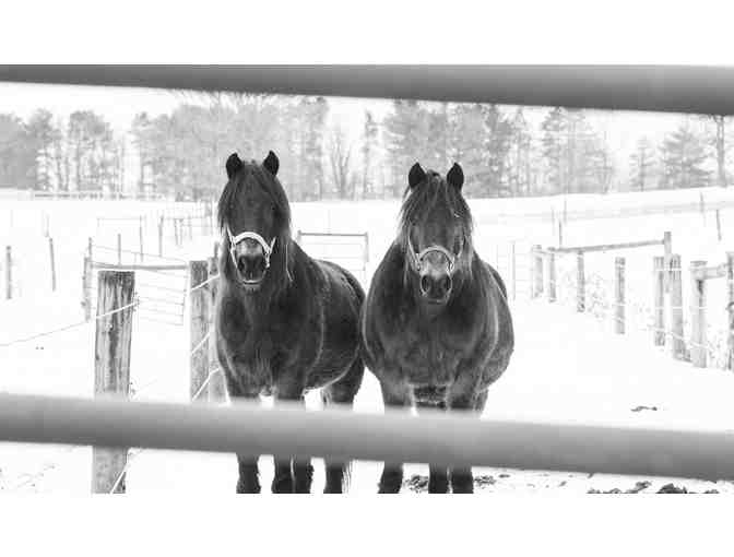 Photo Session with Missy Doughtery