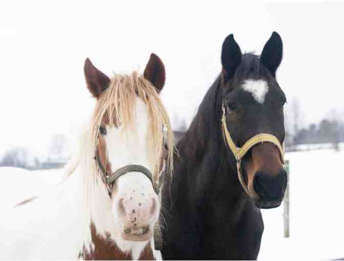 Photo Session with Missy Doughtery