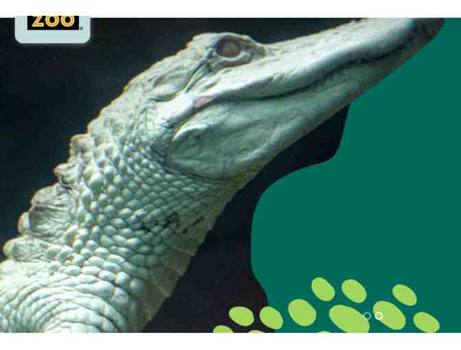 Come Visit the Denver Zoo - Denver CO (supports Saving Grace Sanctuary)