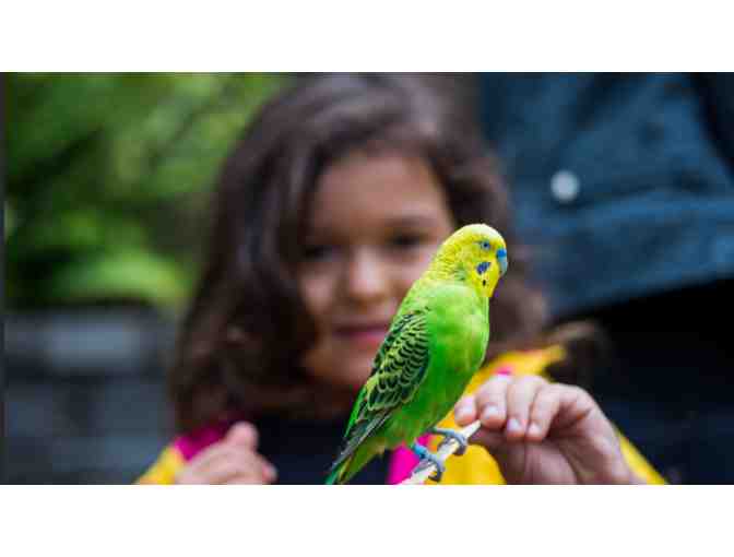 Point Defiance Zoo & Aquarium - Tacoma WA