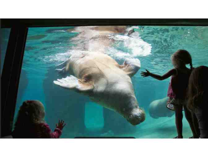 Point Defiance Zoo & Aquarium - Tacoma WA