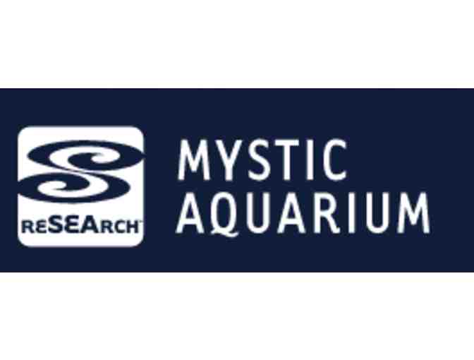 Mystic Aquarium - CT