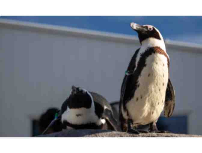 Mystic Aquarium - CT