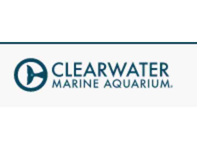 Clearwater Marine Aquarium - FL