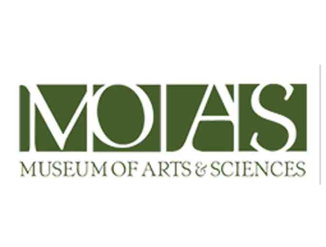 Museum of Arts and Sciences - Daytona FL (supports Saving Grace Sanctuary)