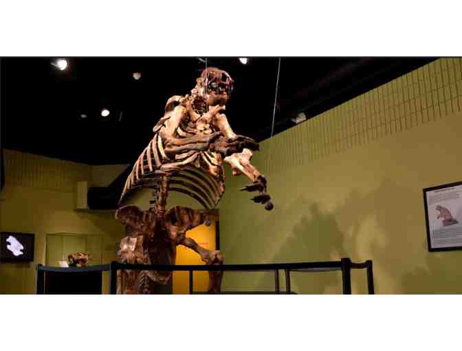 Museum of Arts and Sciences - Daytona FL (supports Saving Grace Sanctuary)