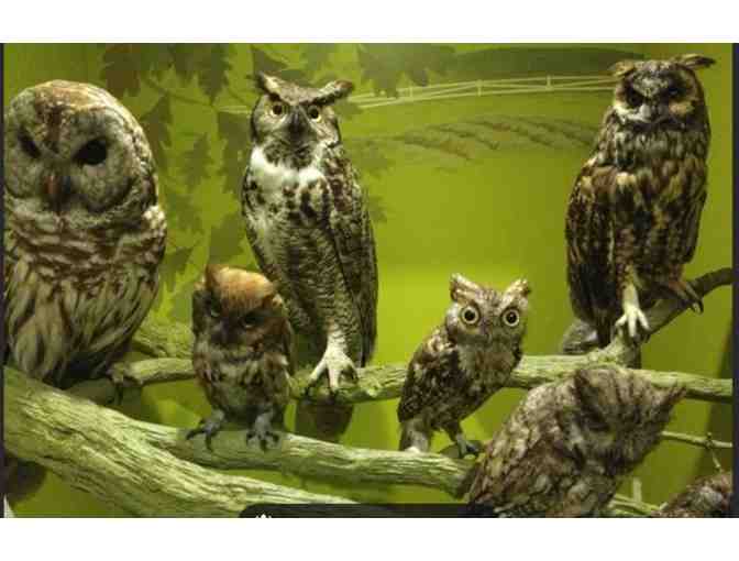 Visit the PA State Museum - Harrisburg PA