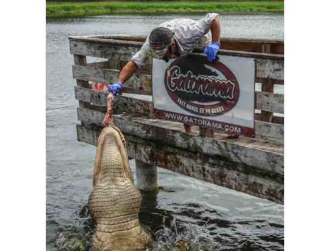 Gatorama - Palmdale FL