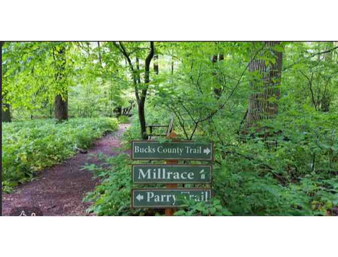 Bowman's Hill Wildflower Preserve - New Hope PA