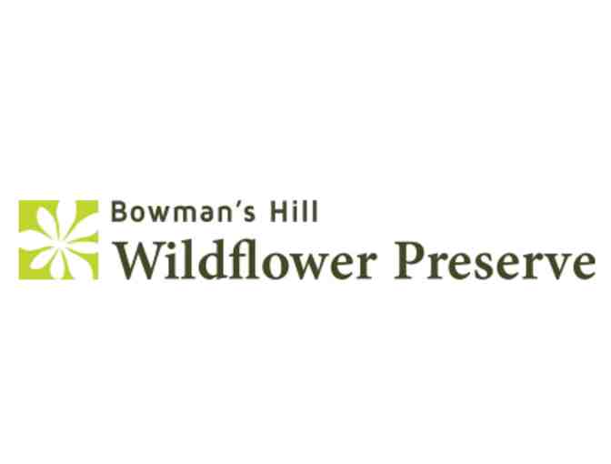 Bowman's Hill Wildflower Preserve - New Hope PA