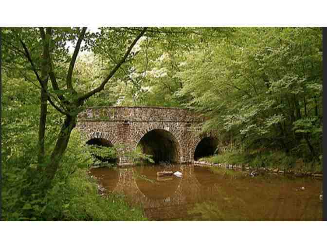 Bowman's Hill Wildflower Preserve - New Hope PA