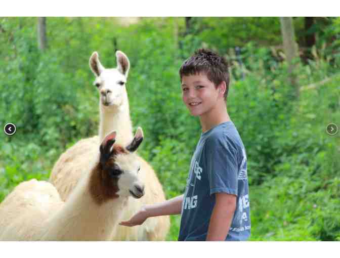 TP Sleep in a Luxury Caboose in the Smokies! - Clyde NC
