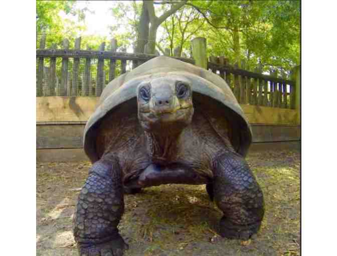 Jacksonville Zoo and Gardens - FL (supports Saving Grace Sanctuary)